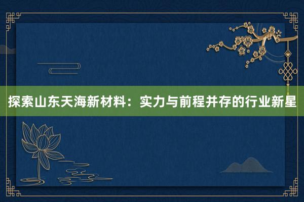 探索山东天海新材料：实力与前程并存的行业新星